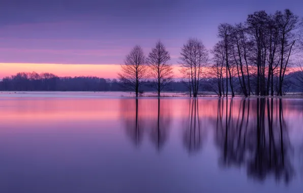 Trees, sunset, reflection, river, Poland, Poland, Narew River, Narev River