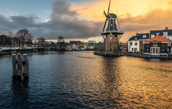 Mill, Netherlands, Haarlem