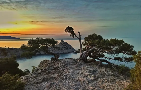 Picture sea, trees, landscape, nature, rocks, dawn, morning, Crimea