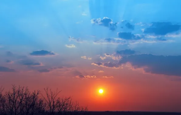 Picture the sun, landscape, sunset