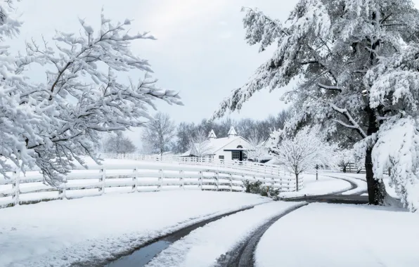 Winter, road, snow, the fence, home