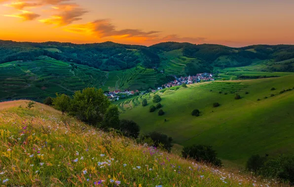 Greens, summer, grass, clouds, trees, sunset, flowers, mountains