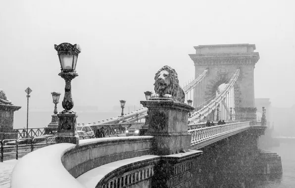 Picture winter, snow, bridge, Leo, architecture