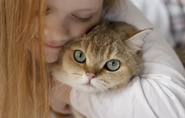 Cat, face, girl