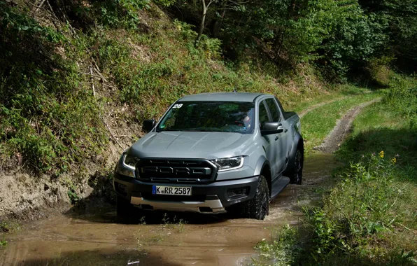 Picture grey, Ford, Raptor, pickup, Ranger, 2019, in a puddle