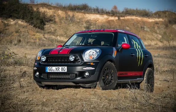 Countryman, Black, Strip, Lights, Mini Cooper, MINI, Matt, Mini Cooper