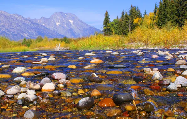 Autumn, the sky, trees, mountains, river, stones