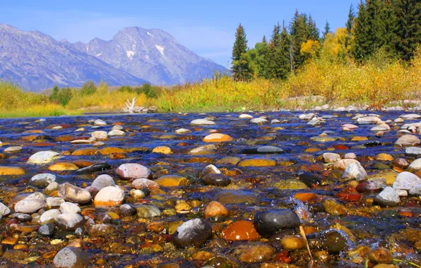 Picture autumn, the sky, trees, mountains, river, stones