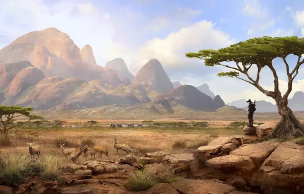 Picture mountains, traveler, Solomon Kane, Africa Landscape, savannah