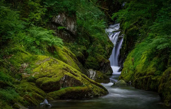 Picture water, stones, rocks, waterfall, moss