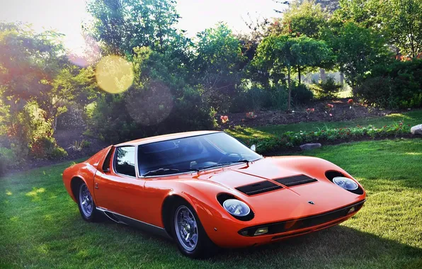 Trees, red, Lamborghini, garden, supercar, the bushes, the front, 1966