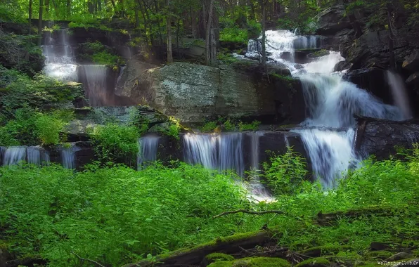 Forest, rocks, waterfall