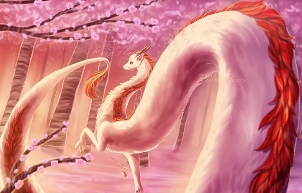 Picture dragon, Sakura, tail, spirited away, haku