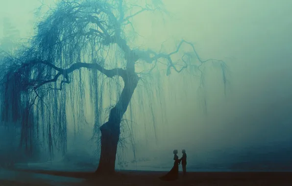 Picture sea, fog, twilight, Couple.tree
