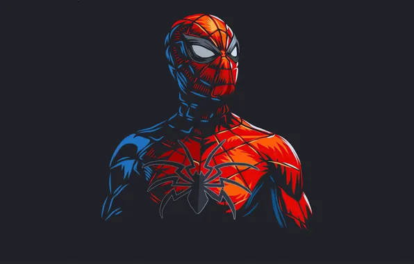 Hero, Mask, Spider-man