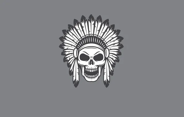 Skull, minimalism, head, feathers, skeleton, sake, Indian