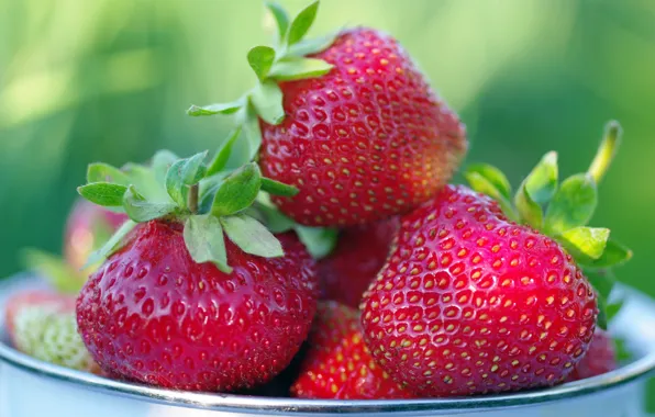Summer, nature, berries, beauty, positive, harvest, strawberry, dessert