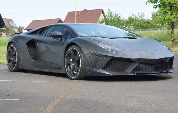 Picture tuning, Lamborghini, carbon, Aventador, Mansory, Carbonado