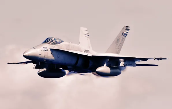 Airplane, aviation, jet, McDonnel Douglas F/A-18 Hornet