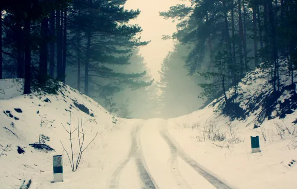 Winter, road, forest, snow, trees, branches, nature, fog
