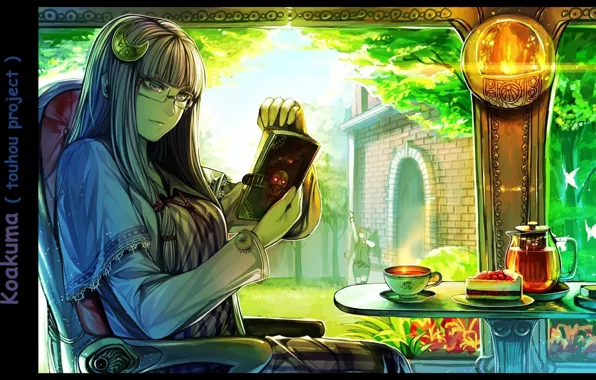 Park, books, glasses, the tea party, mansion, in the chair, reads, moths
