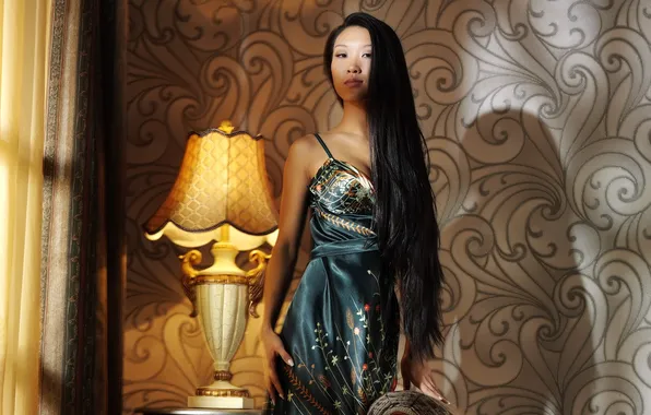 Look, girl, shadow, dress, brunette, window, lamp, Asian
