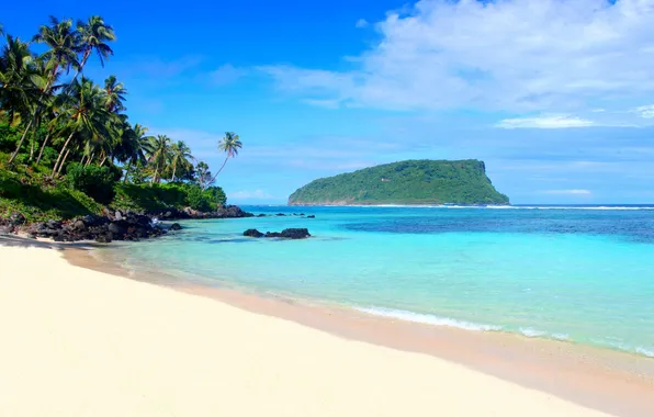 Picture sea, landscape, nature, tropics, palm trees, mountain