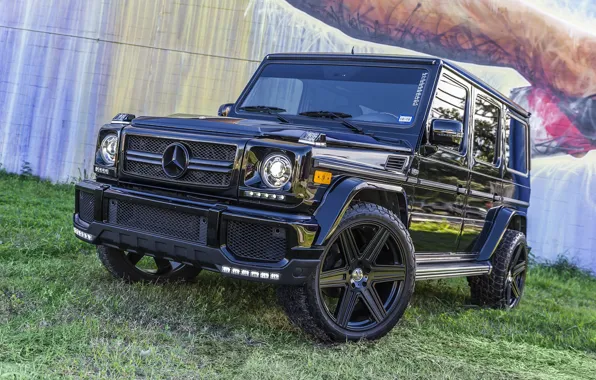 Picture Mercedes, AMG, Black, G63, Graphity, W463