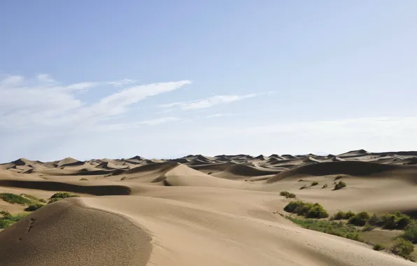 Picture sand, nature, dunes