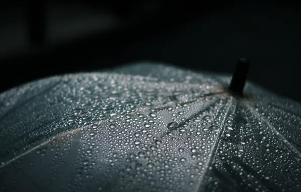 Drops, macro, umbrella