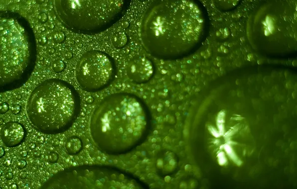 Green, Wallpaper, water, drops