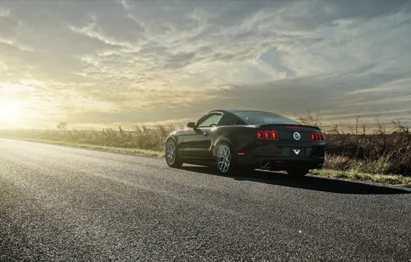Mustang, Ford, black, road, 5.0, rear, sun