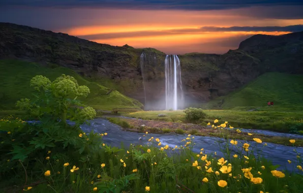 Sunset, flowers, waterfall, Iceland