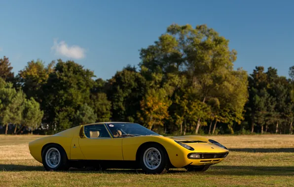 Picture Lamborghini, Miura