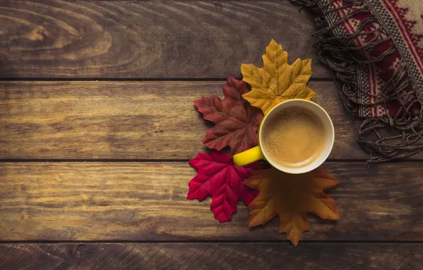 Picture autumn, leaves, background, tree, coffee, colorful, scarf, Cup