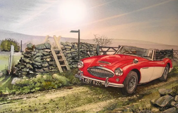 Picture road, machine, figure, Roadster, painting, classic, Austin Healey