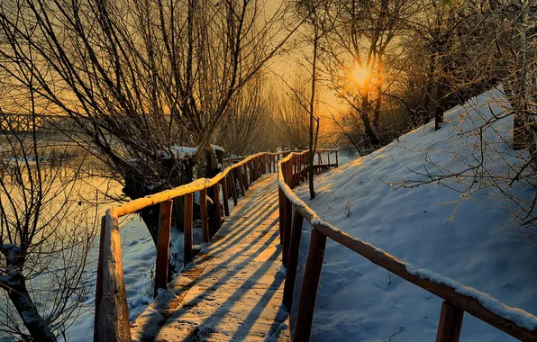 The sun, trees, sunset, river, railings, wooden, the bridge, winter evening