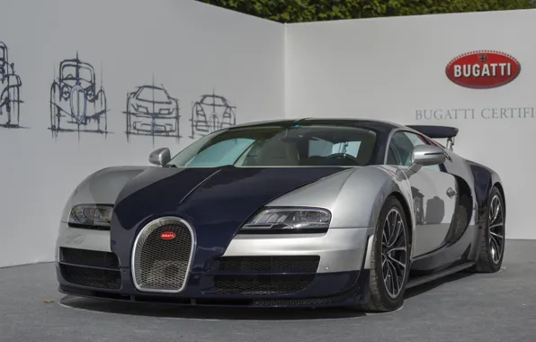 Picture veyron, bugatti, vitesse