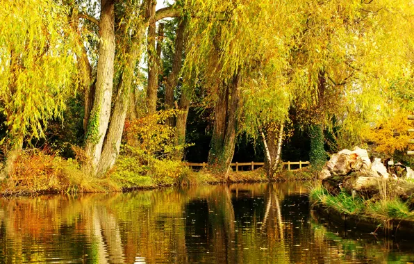 Autumn, trees, pond, Park
