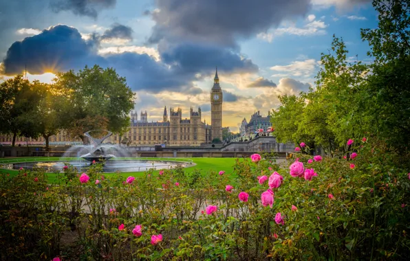 Flowers, Park, England, London, roses, Big Ben, fountain, the bushes