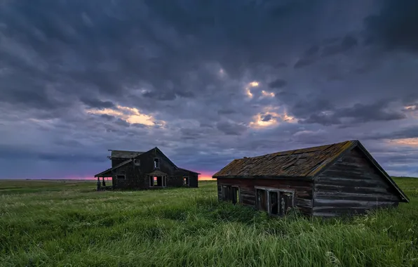 Field, landscape, Alberta, Abandoned Homestead