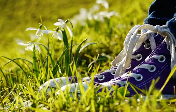 Macro, flowers, sneakers