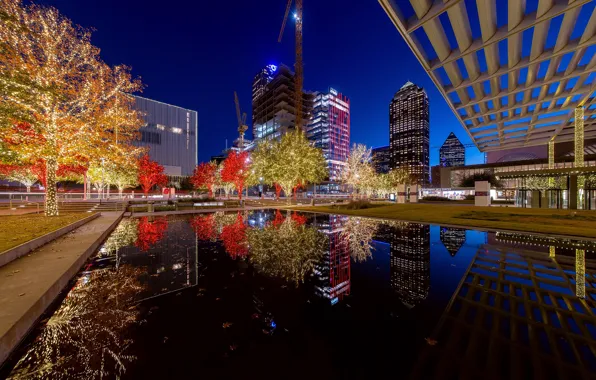 Water, trees, night, lights, reflection, new year, home, Christmas