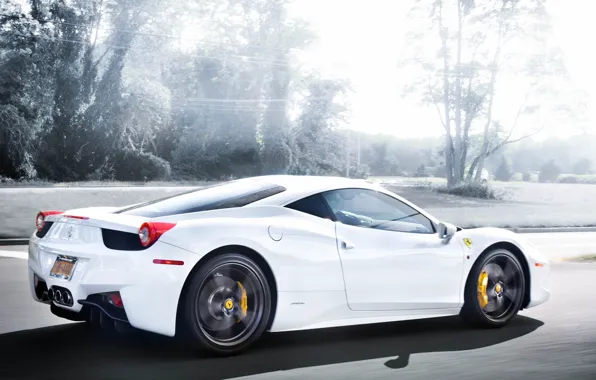 Road, white, trees, speed, white, ferrari, Ferrari, rear view