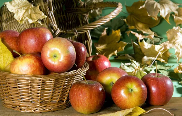 Autumn, red, Apples