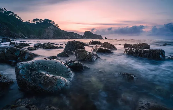 Sea, the sky, clouds, trees, stones, rocks, the bottom, the evening