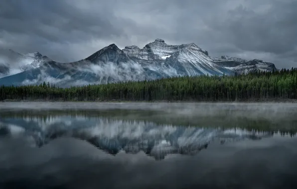 Forest, the sky, trees, mountains, clouds, nature, lake, rocks
