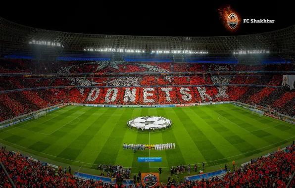 Field, Orange, Ukraine, Donetsk, Miner, Stadium, Manchester United, Performance