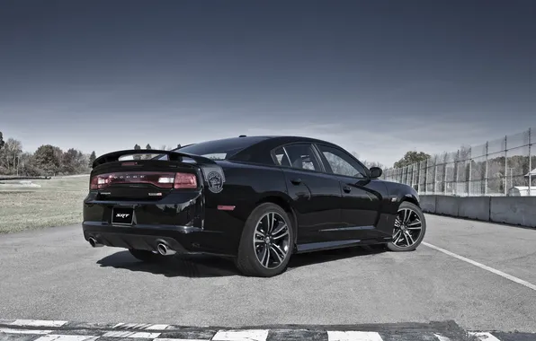 Picture trees, reflection, track, black, Dodge charger