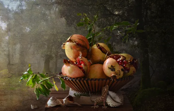 Trees, branches, nature, background, food, lizard, shell, fruit